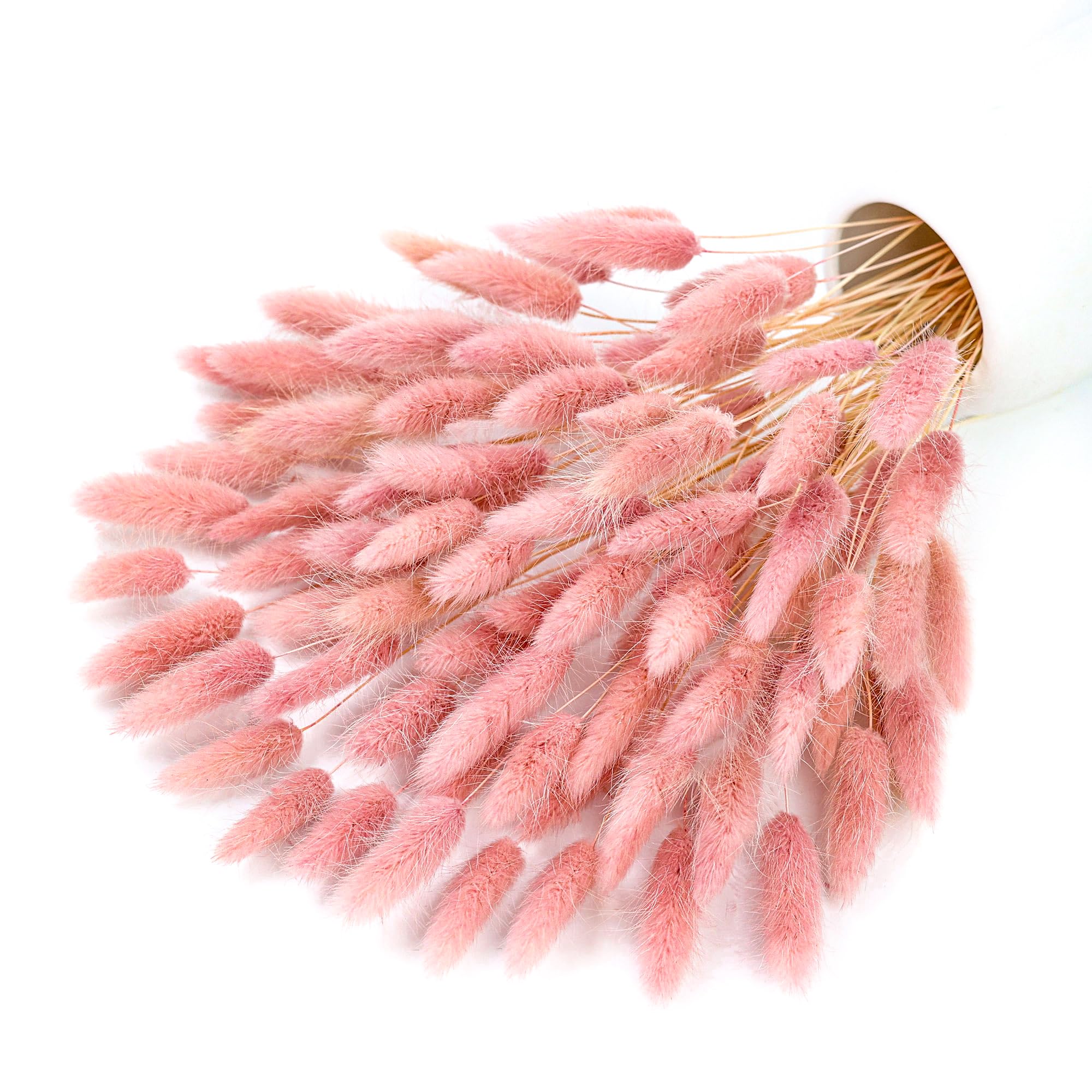 Pampas Grass Decor - 120 стеблей, розовые сушеные хвосты пампаса,