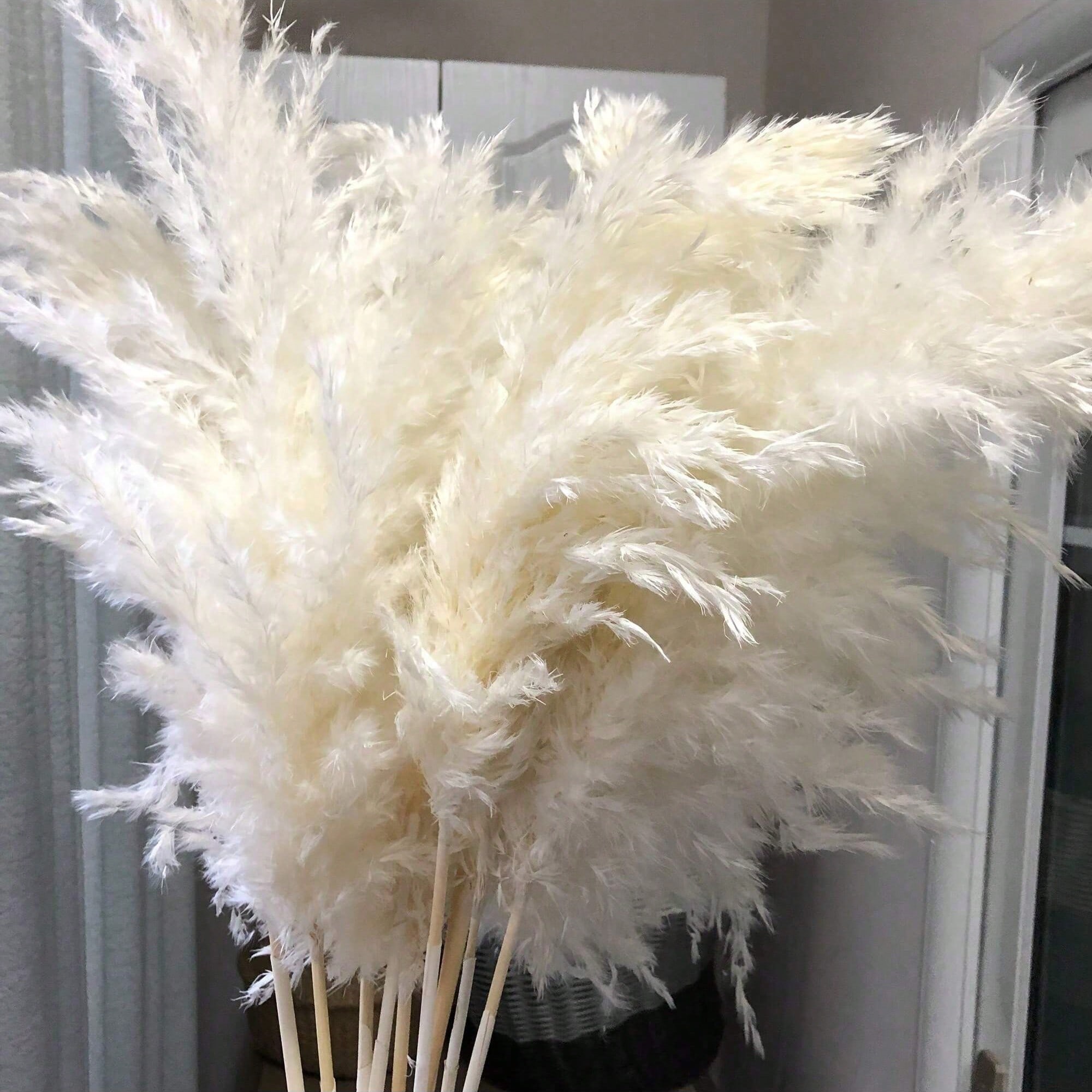 Pampas Grass Decor - 10/20/30 шт. белой искусственной травы пампасной,