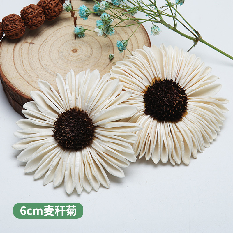 10 шт., сушеные цветы ручной р – обзор и цена Home Decor Daisy