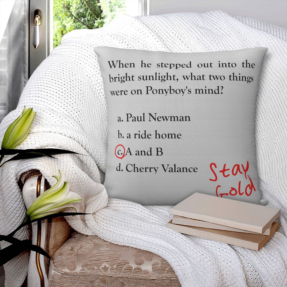 Наволочка Outsiders Ponyboy Qu – обзор и цена Home Decor Quiz Free