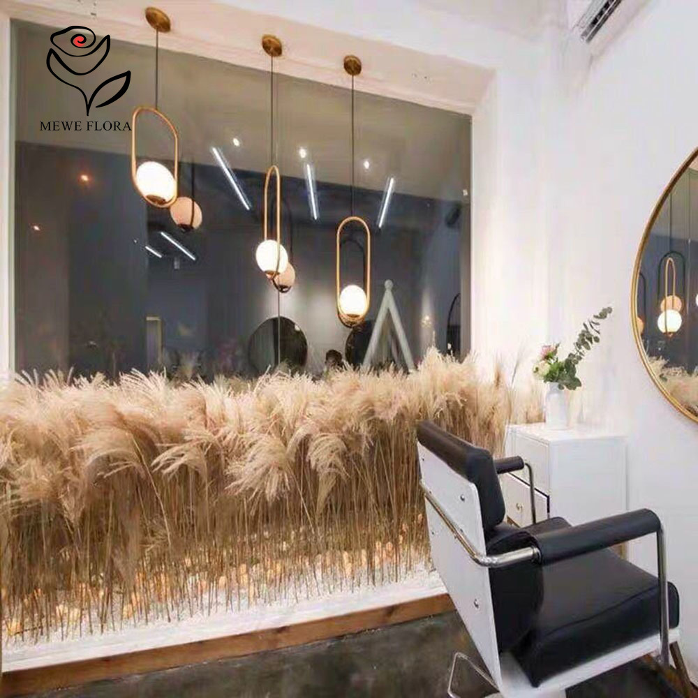 200 шт., натуральные сушеные п – обзор и цена Pampas Grass Decor