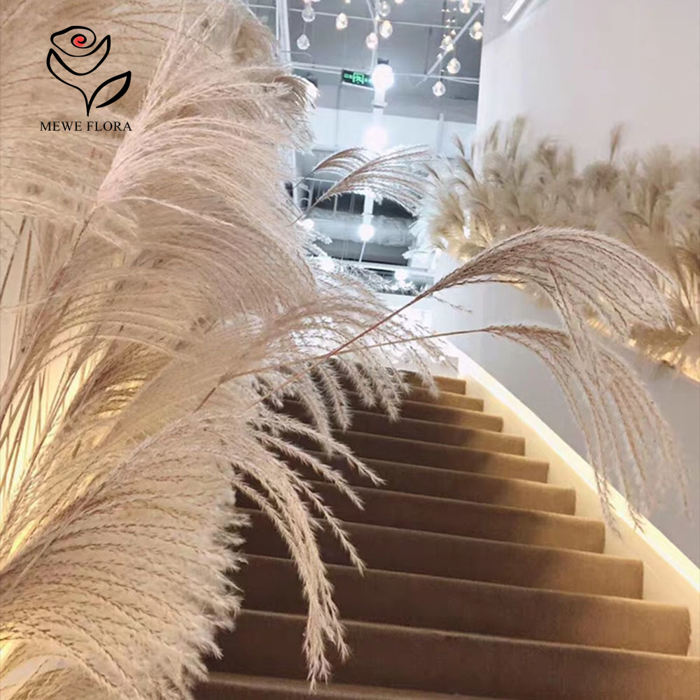200 шт., натуральные сушеные п – обзор и цена Pampas Grass Decor