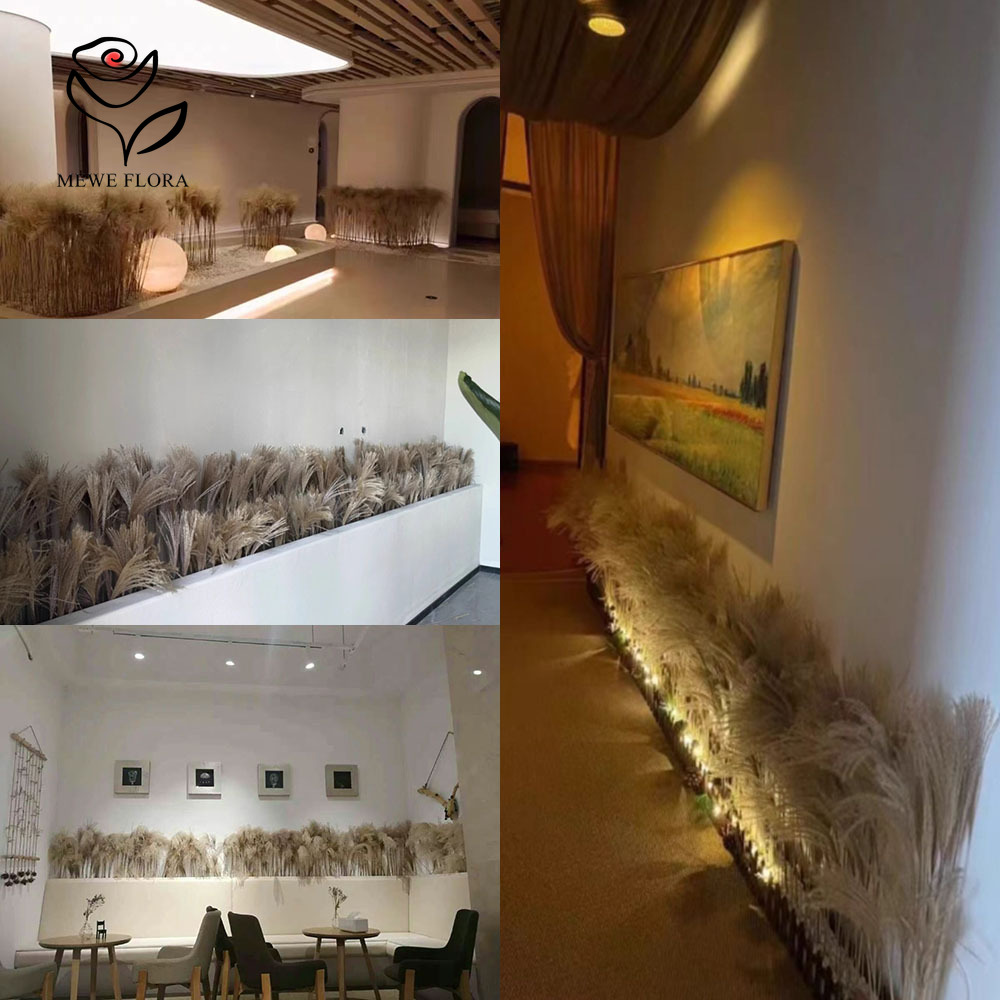 200 шт., натуральные сушеные п – обзор и цена Pampas Grass Decor