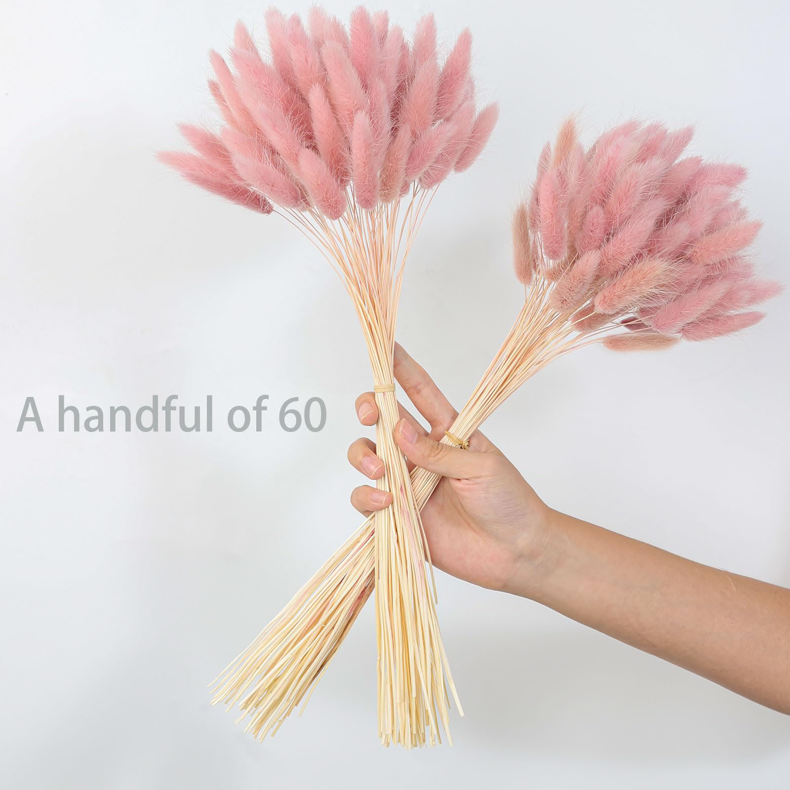 120 стеблей, розовые сушеные х – обзор и цена Pampas Grass Decor