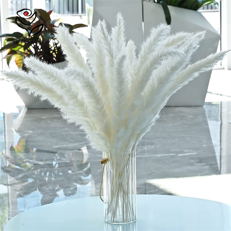 18 стеблей натуральных сухих ц – обзор и цена Pampas Grass Decor