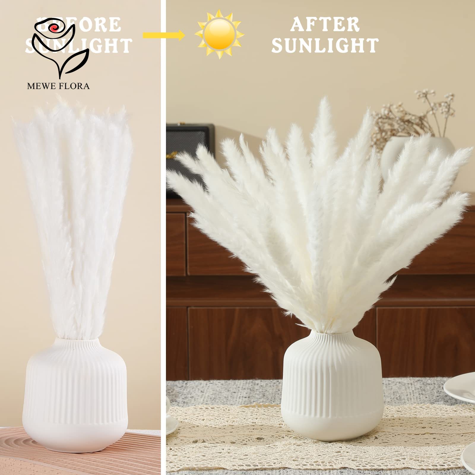 18 стеблей натуральных сухих ц – обзор и цена Pampas Grass Decor