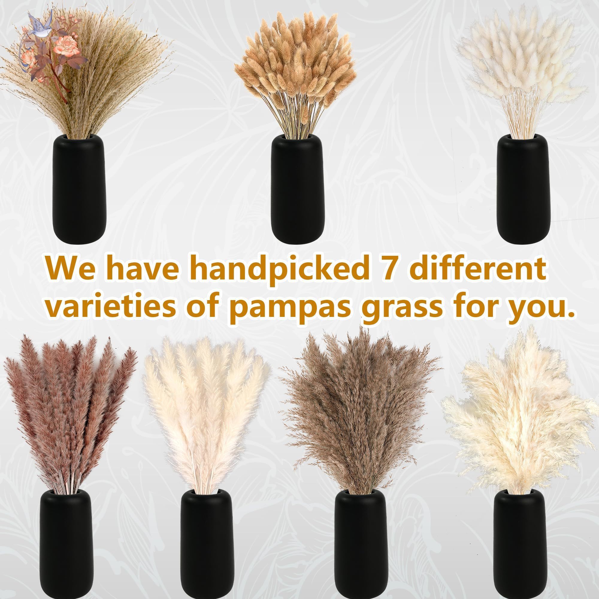 300 шт., натуральные большие п – обзор и цена Pampas Grass Decor