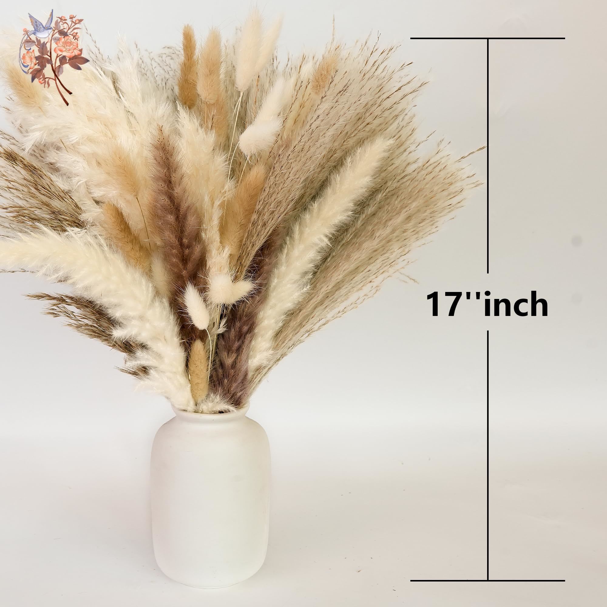 300 шт., натуральные большие п – обзор и цена Pampas Grass Decor