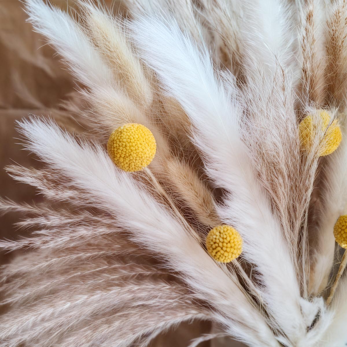 Букет из сушеной пампасной тра – обзор и цена Pampas Grass Decor
