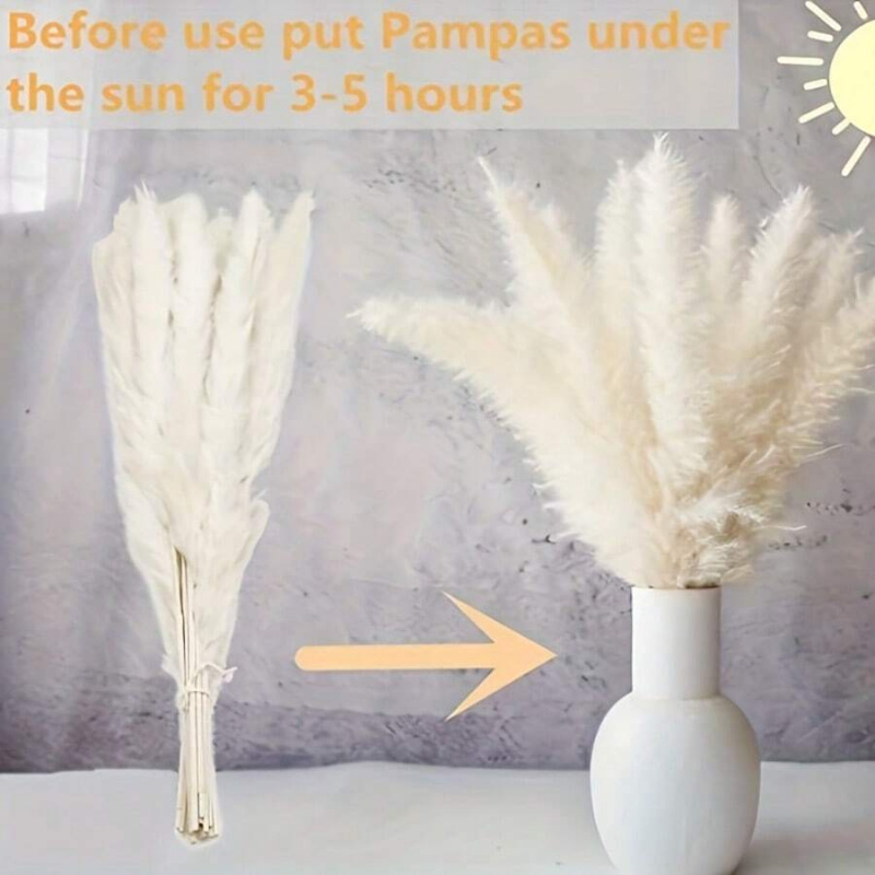 Букет из 110 штук сушеной трав – обзор и цена Pampas Grass Decor
