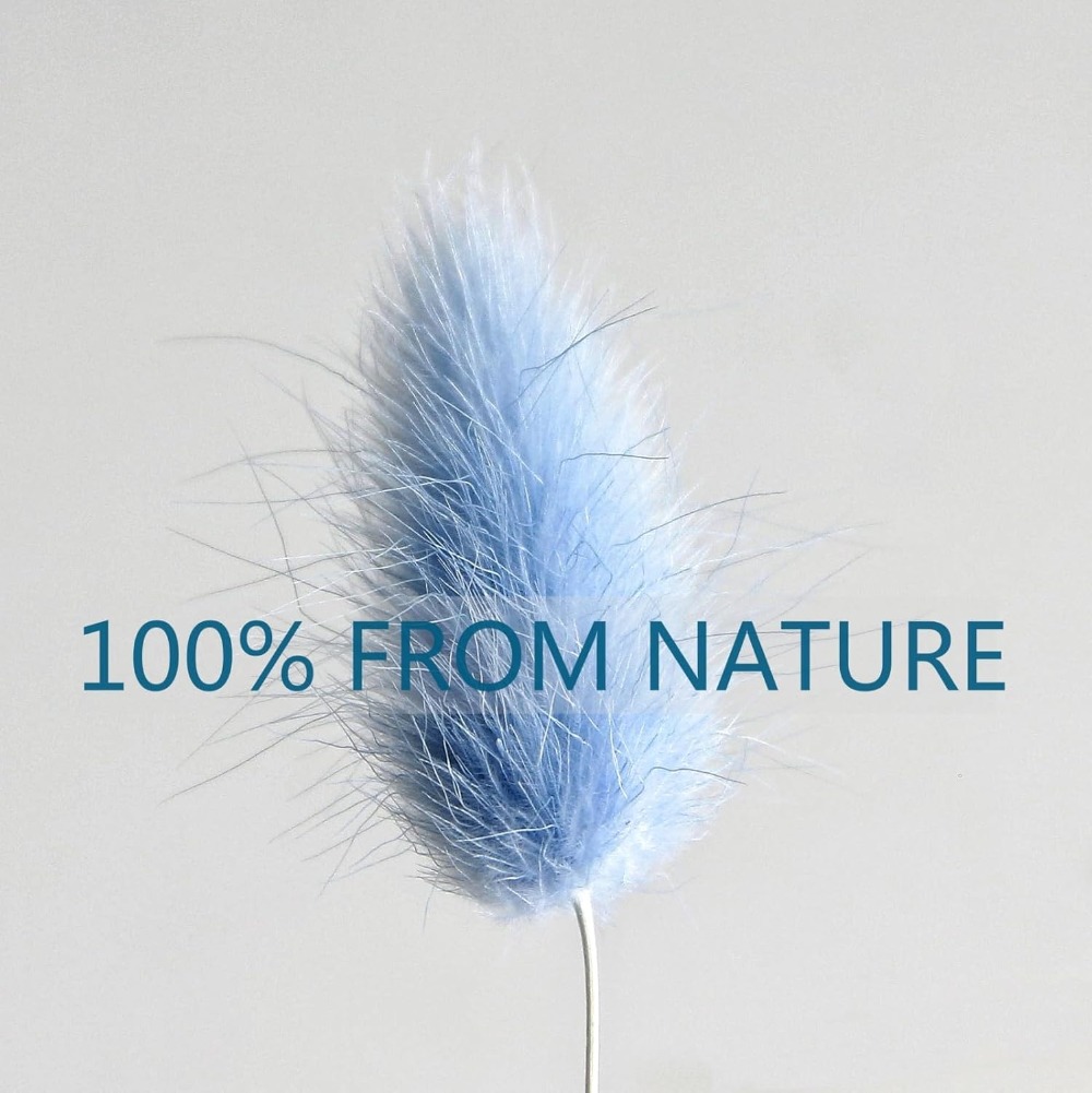100 шт. синий хвост зайца трав – обзор и цена Pampas Grass Decor