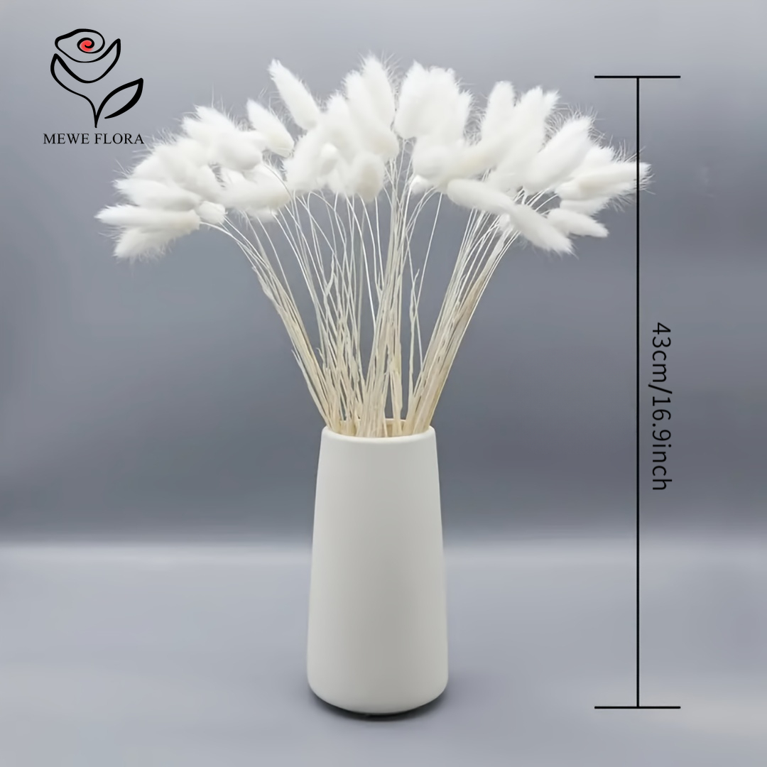 150 шт., белые натуральные пуш – обзор и цена Pampas Grass Decor